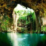 top-10-amazing-things-nature-hard-believe
