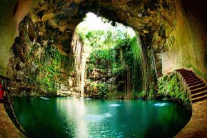 top-10-amazing-things-nature-hard-believe