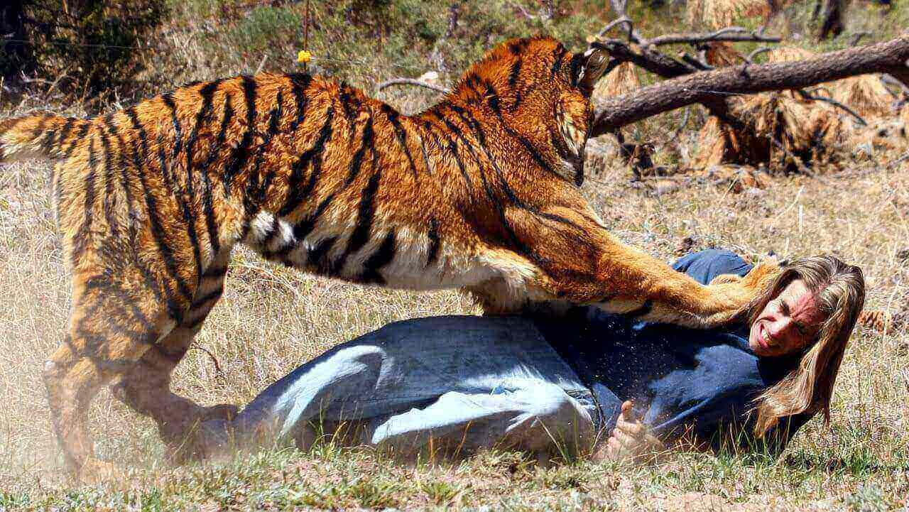 dangerous animals