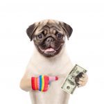 top-10-most-expensive-dog-breeds-in-the-world