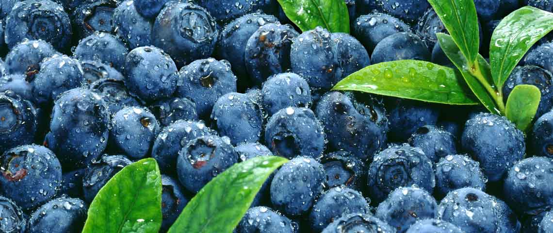 Blueberries