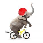 10-fastest-animals-on-earth