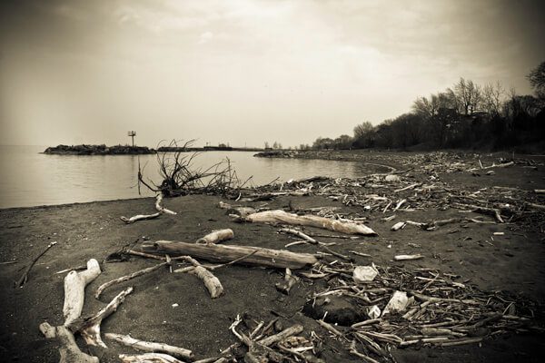 The Lake City Torso Murder