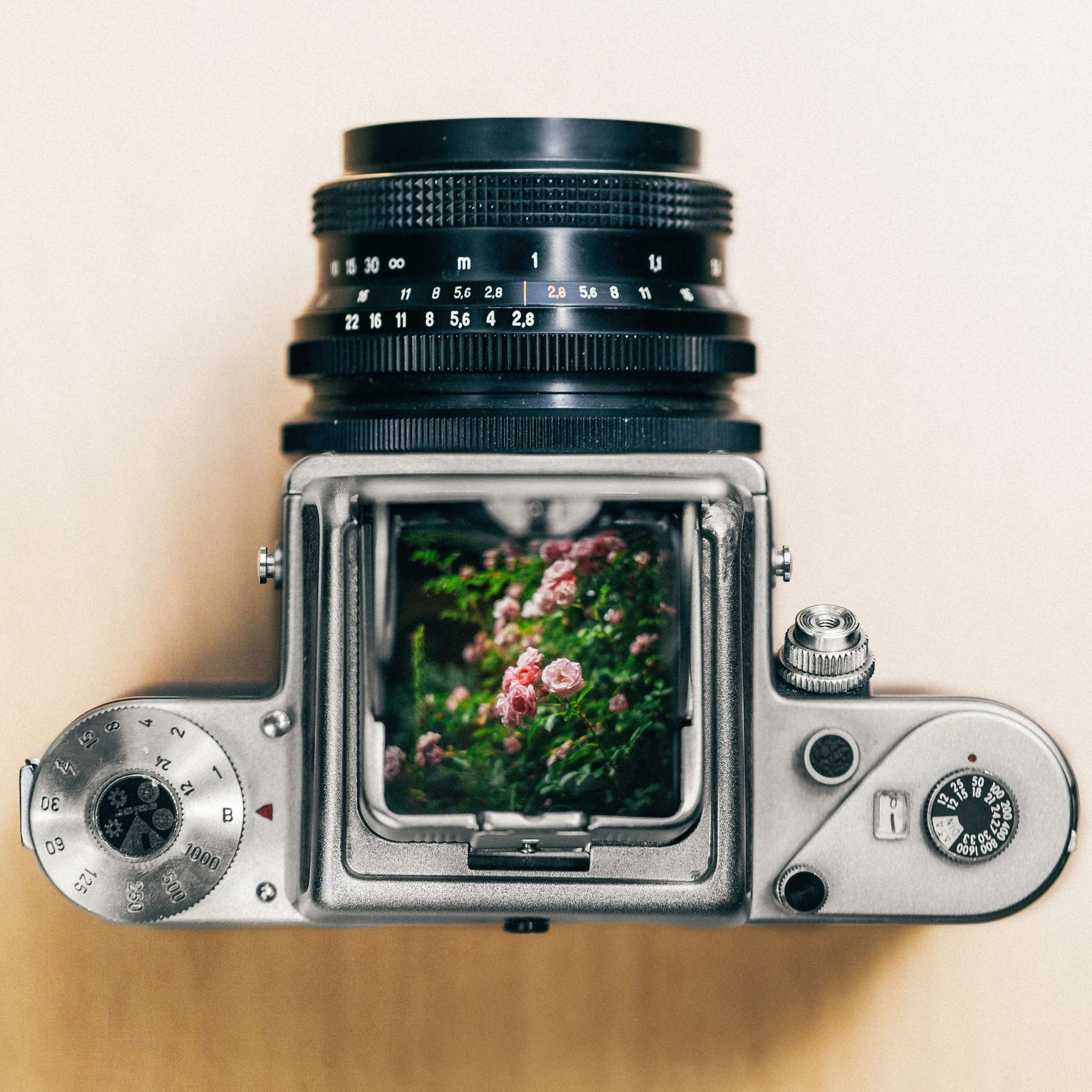 The Ultimate Guide to Choosing Between Analog Vs Digital Camera